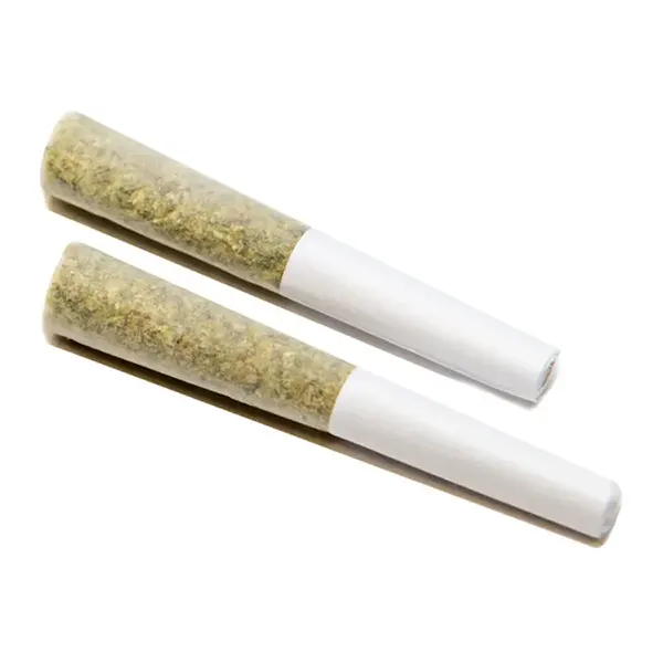 Image for Pedro's Sweet Sativa Pre-Roll, cannabis pre-rolls by Color Cannabis