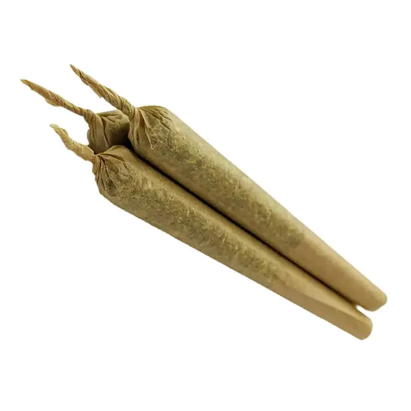 Rally Pre-Roll