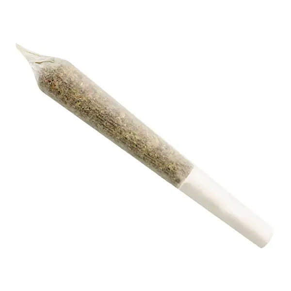 Rockstar OG Pre-Roll (Pre-Rolls) by Ignite