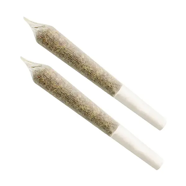 Rockstar OG Pre-Roll (Pre-Rolls) by Ignite