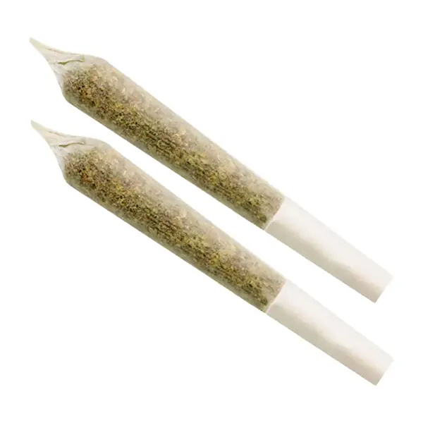 Sour Cookies Pre-Roll (Pre-Rolls) by Ignite