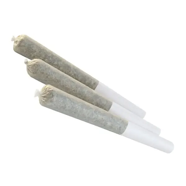 Grapefruit GG4 (The General) Pre-Roll (Pre-Rolls) by Edison