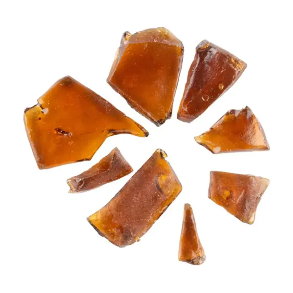 Image for Glueberry Shatter, cannabis shatter, wax by Fireside X