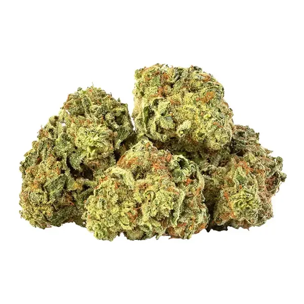 Bud image for 90's OG Kush, cannabis dried flower by Table Top