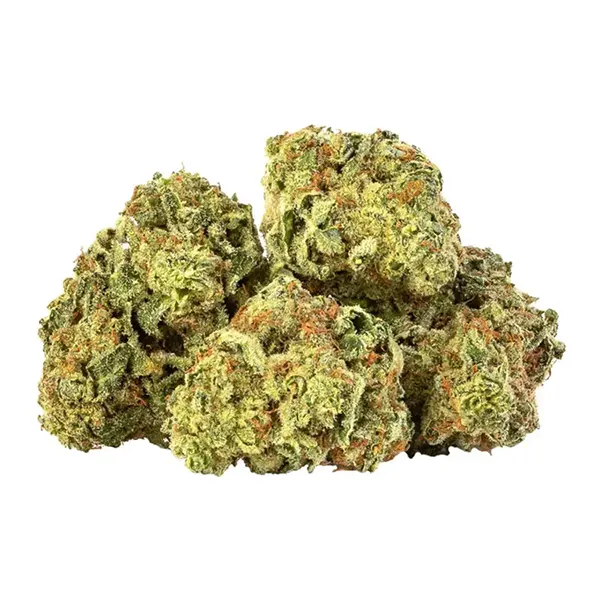 Product image for 90's OG Kush, Cannabis Flower by Table Top