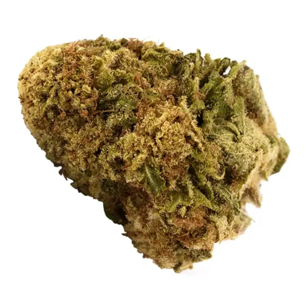 Product image for AAA Hybrid, Cannabis Flower by Hiway