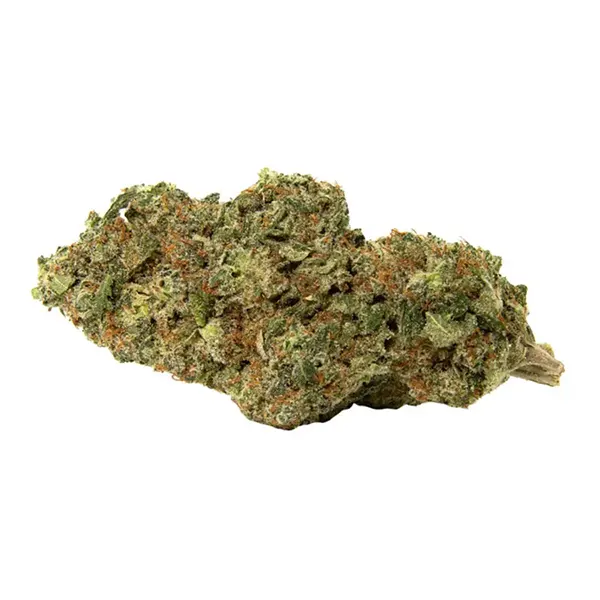 Bud image for Afghani Drifter, cannabis dried flower by Greybeard