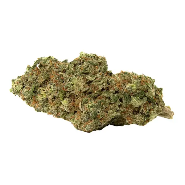 Product image for Afghani Drifter, Cannabis Flower by Greybeard