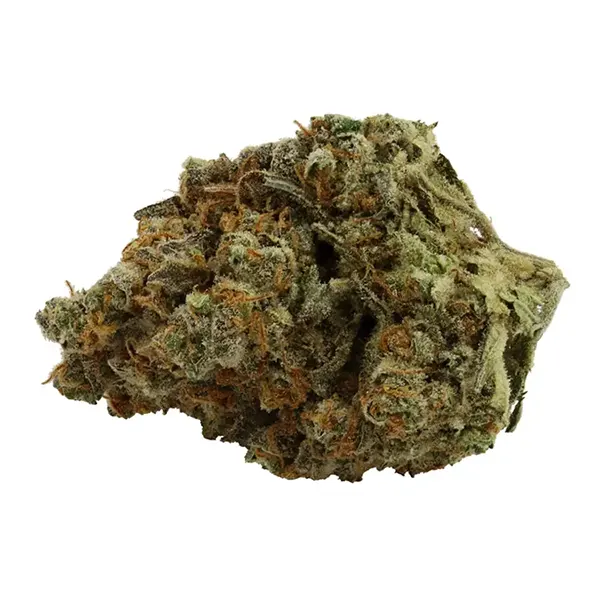 Amnesia x Super Haze