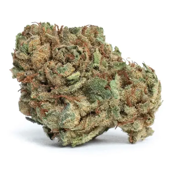 Product image for Bali Kush, Cannabis Flower by LIIV