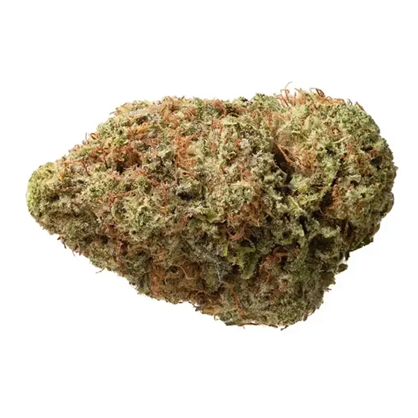 BC Organic Apple Toffee