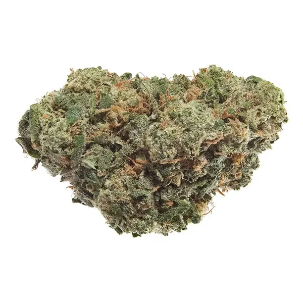 BC Organic SFV OG Kush (Dried Flower) by Simply Bare