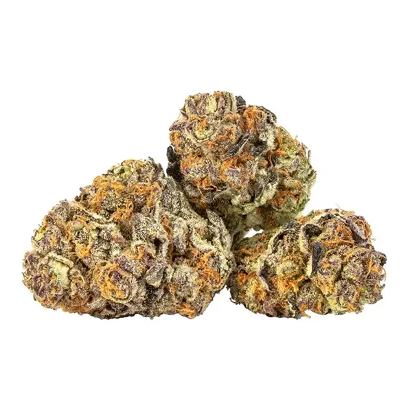 Black Cherry Punch (Dried Flower) by NESS