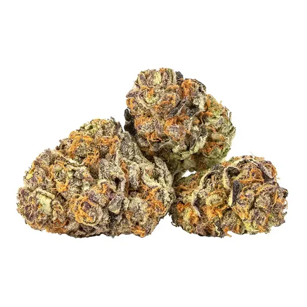 Product image for Black Cherry Punch, Cannabis Flower by NESS