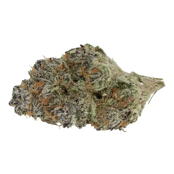 Product image for Black Cherry Punch, Cannabis Flower by Elios Reserve