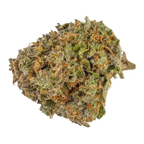 Bud image for Blue Gorilla, cannabis all categories by Muskoka Grown