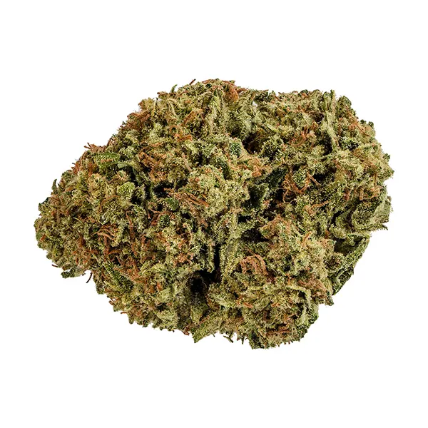 Bud image for Cherry Bomb, cannabis all categories by Jonny Chronic