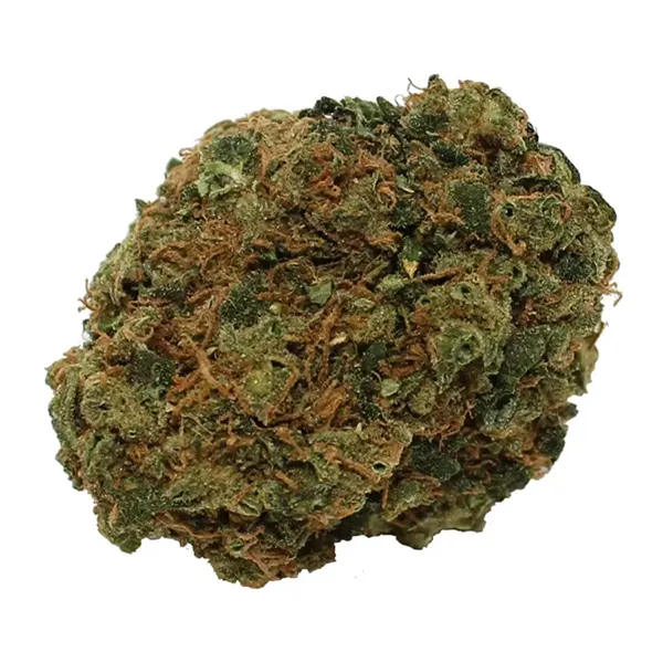 Chocolate Mint OG (Dried Flower) by Steel City Green