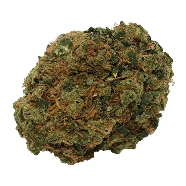 Bud image for Chocolate Mint OG, cannabis dried flower by Steel City Green