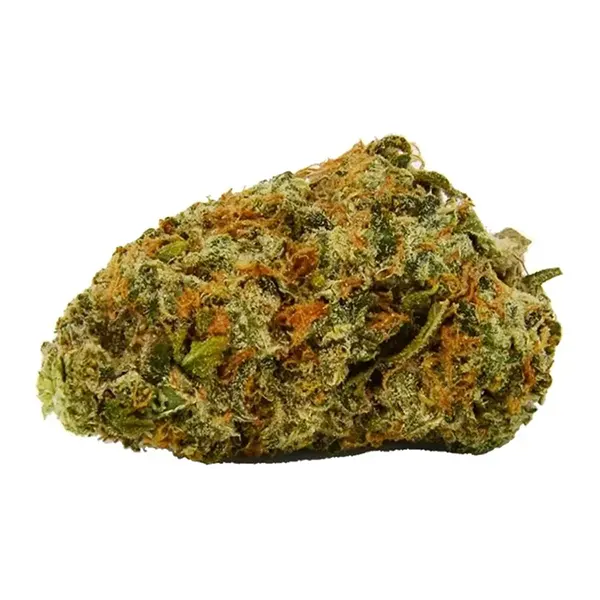 Product image for Cindy Jack, Cannabis Flower by Weed Me