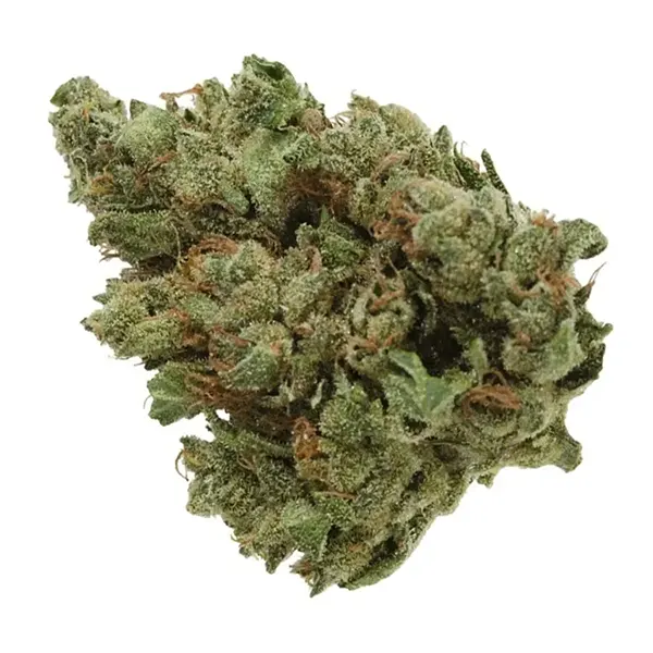 Cold Creek Kush UP20 (Dried Flower) by UP