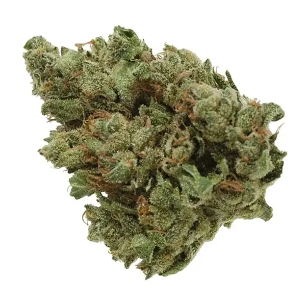 Bud image for Cold Creek Kush UP20, cannabis dried flower by UP