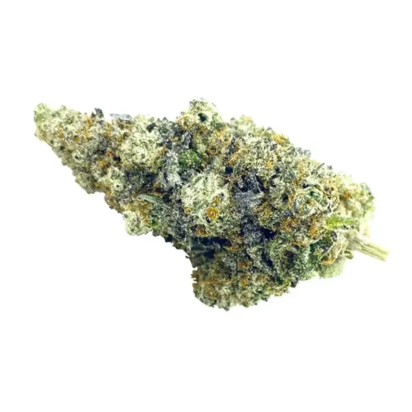 Product image for Craft Collective: Wild Berry OG, Cannabis Flower by 7Acres