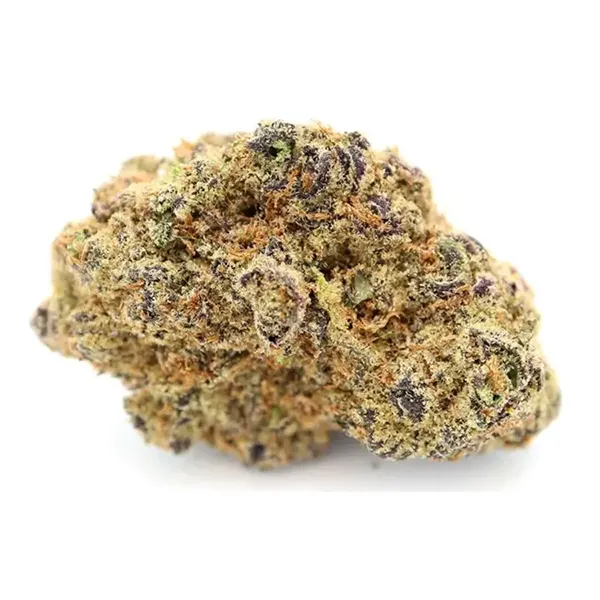 Product image for Crescendo, Cannabis Flower by Ignite