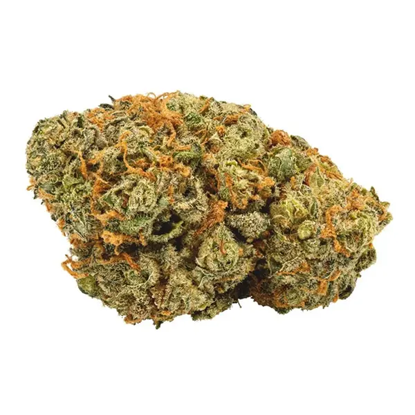 Bud image for Critical Mass x Black Domina, cannabis dried flower by Buds