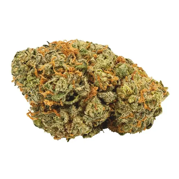 Product image for Critical Mass x Black Domina, Cannabis Flower by Buds