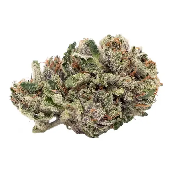 Bud image for Dunn Cannabis Island Pink Head, cannabis dried flower by Artisan Batch