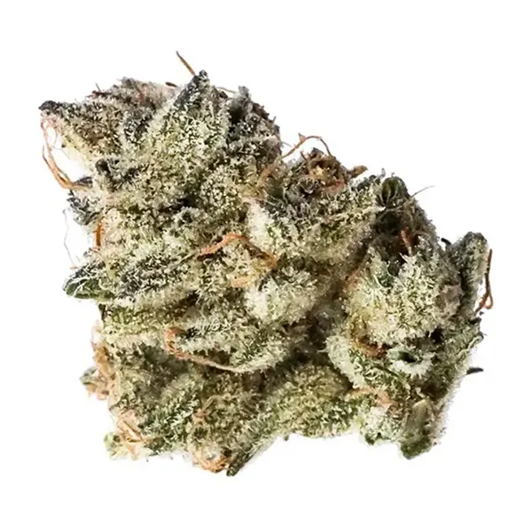 Product image for Early Glue RBx1 #15, Cannabis Flower by Ogen