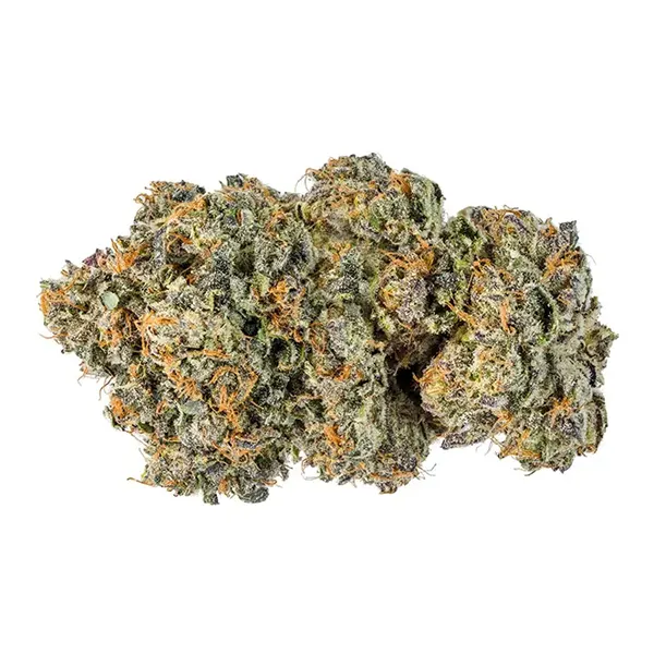 Bud image for French Macaron, cannabis dried flower by Jonny Chronic