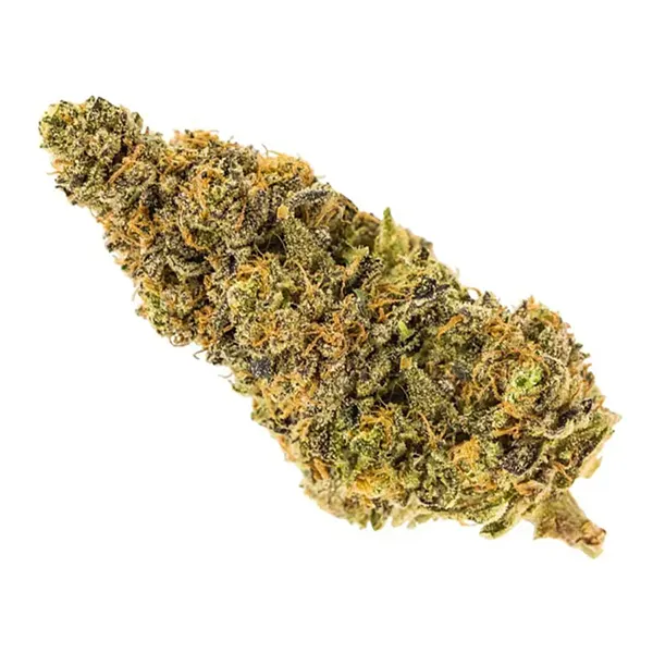 Bud image for Garlic Breath, cannabis all categories by Carmel