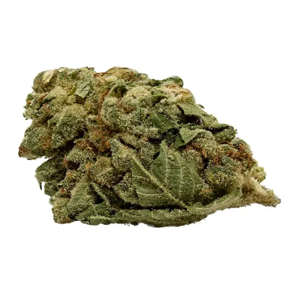 Bud image for Garlic Z, cannabis dried flower by Thumbs Up