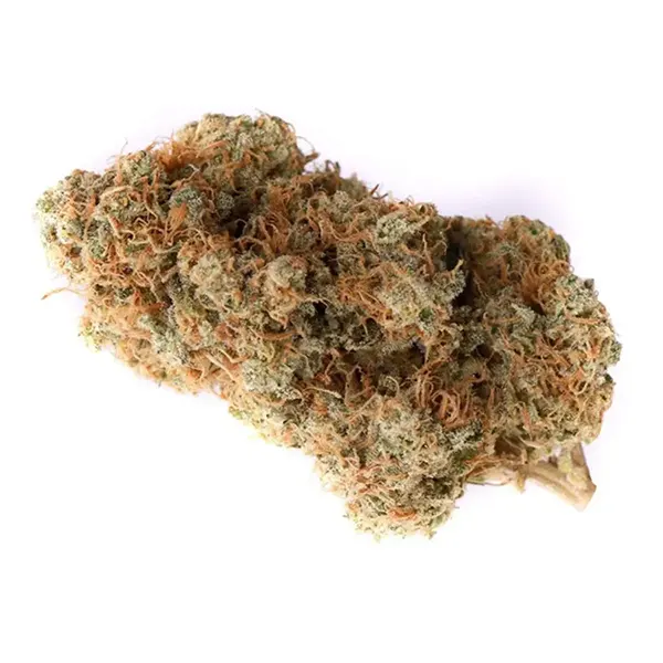 Bud image for Gas Berries #112, cannabis dried flower by Ogen