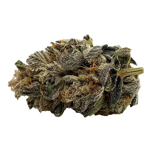 Gelato (Dried Flower) by Gage Cannabis
