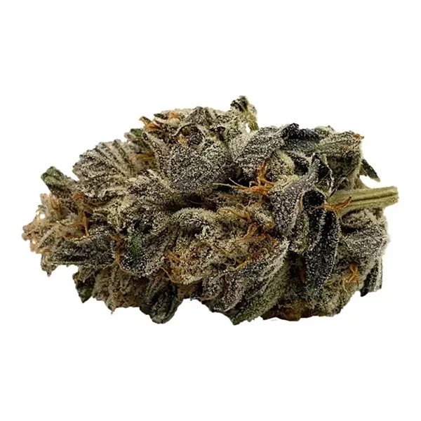 Bud image for Gelato, cannabis dried flower by Gage Cannabis