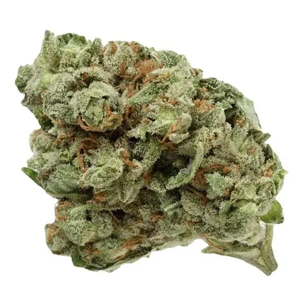Ghost Train Haze UP20 (Dried Flower) by UP