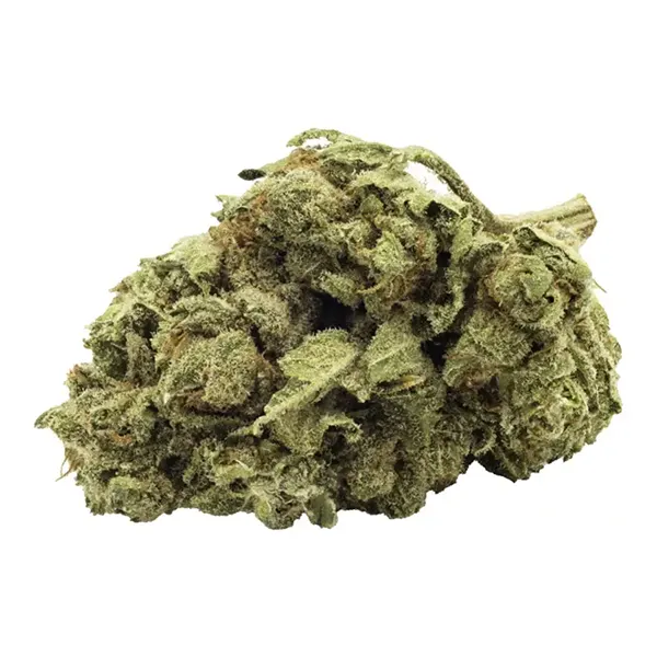 Bud image for Go Chill Afghan Kush, cannabis all categories by FIGR