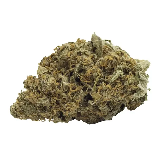 Bud image for Go Elevate Kali Mist, cannabis all categories by FIGR