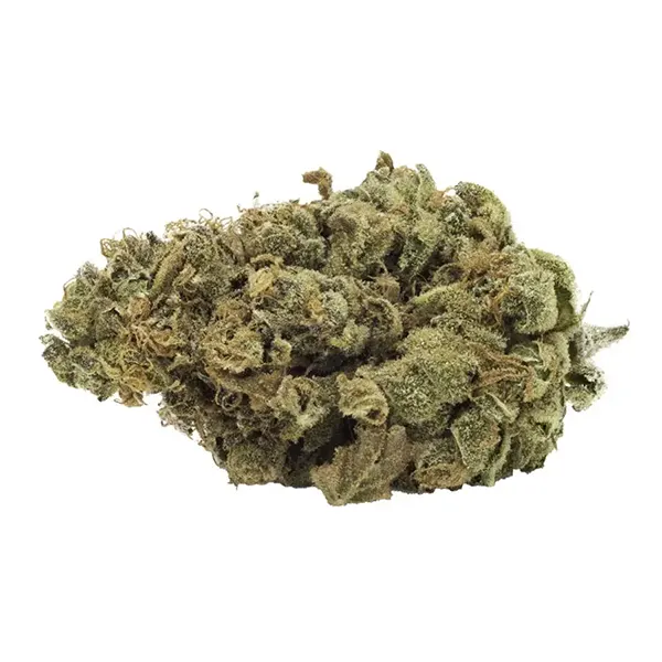 Bud image for Go Play Mandarin Cookies, cannabis dried flower by FIGR