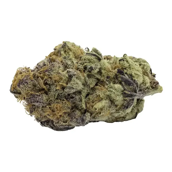Bud image for Black Cherry Punch, cannabis dried flower by FIGR