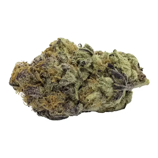Go Steady Black Cherry Punch