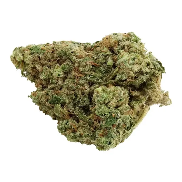 Bud image for Grandpa's Stash, cannabis all categories by Thumbs Up