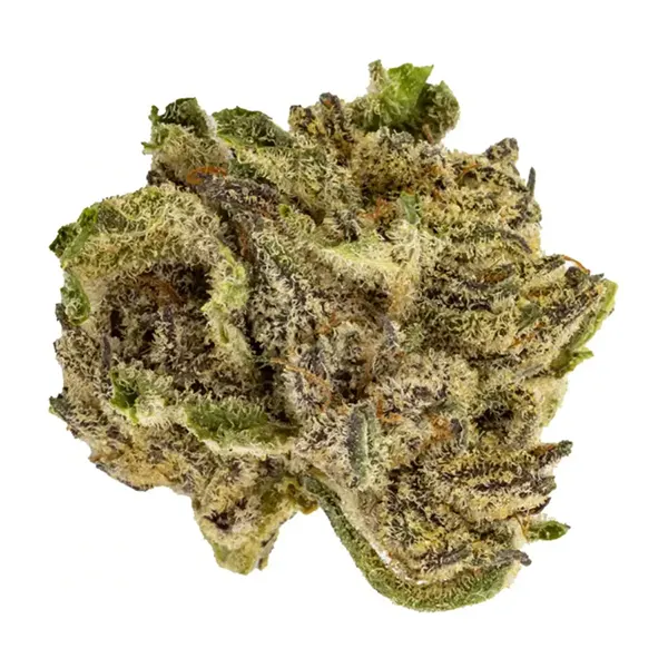 Bud image for Green Crush, cannabis dried flower by Canaca