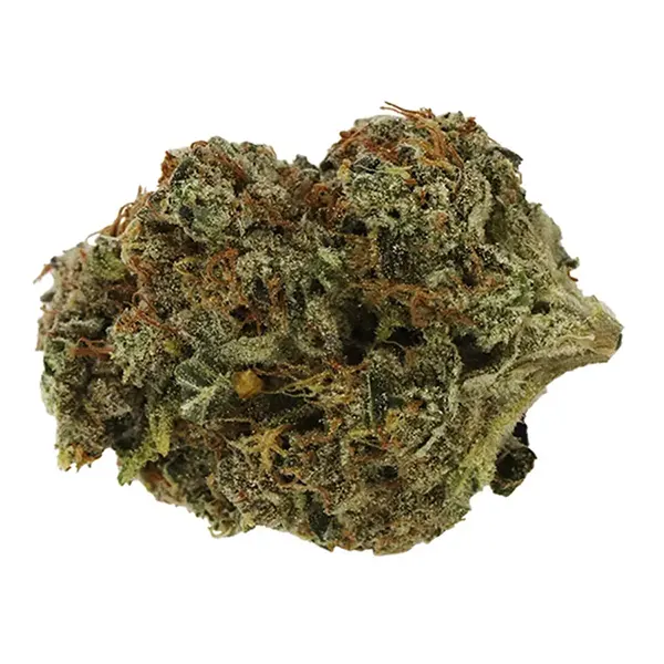 Bud image for Handcrafted Green Kraken, cannabis all categories by BOAZ