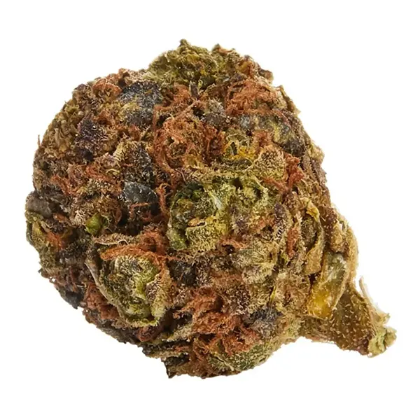 Bud image for Headbanger, cannabis dried flower by Delta 9