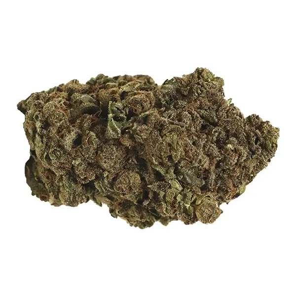 Bud image for Heavy Duty Fruitti, cannabis all categories by BOAZ