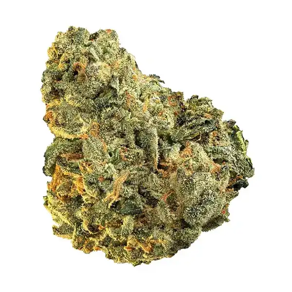 Bud image for ICC (Ice Cream Cake), cannabis all categories by Edison